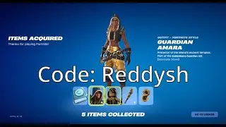 Guardian Amara - Code Reddysh