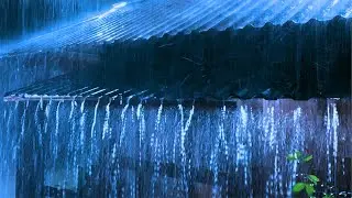 Успокаивающий дождь для снятия стресса - Тихий туманный лес, дождь ASMR