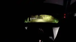 Rally della Valpolicella 2025 PS8 „Corrubio“ by Night Irlacher-Cerny