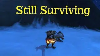 8.3 Survival Hunter PvP | Still Surviving
