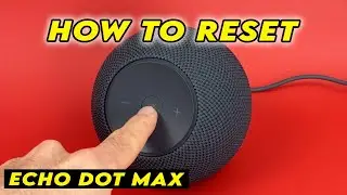Amazon Echo Dot Max: как сбросить настройки до заводских