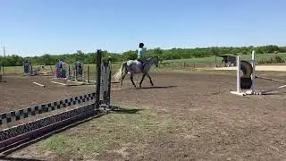 Last try with the Thorowgood saddle