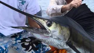 Extreme Fishing the Osa Peninsula Costa Rica.mov