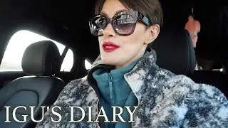 VLOG: update POLLY | o alta SURPRIZA | ultimele pregatiri & despodobirea bradului