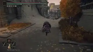 New game +2 elden ring run through