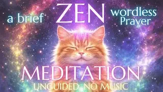 💫A Brief Zen: For Light Becoming Form｜Wordless Prayer (Unguided, No Music)#zen #meditation #keizoku