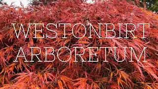 Westonbirt Arboretum Awesome Autumn Colours 🍂