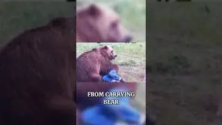 Best Bear Attack Preparations Still Go Wrong!