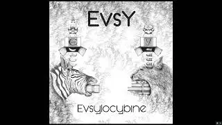 EvsY - A.M. User