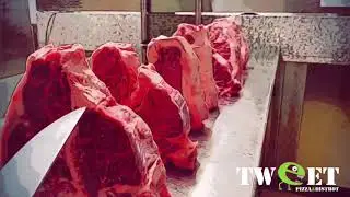 T-bone U.S.A