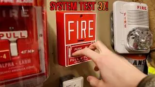 Тест системы ADT Unimode 10-UD 37 | Запросы на пожарную сигнализацию!