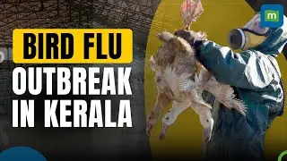 Bird Flu Outbreak:Over 53,000 Domestic Birds Culled In Alappuzha, Kerala