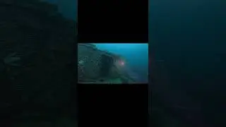 SS Afrika diving #divinglife #marinelife #sunkenship #sunken #deepsea