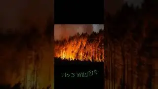 Top 5 Most Dangerous Natural Disasters #shorts #exploringfacts