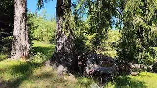 Beautiful mountain off-road in the Bulgarian Rhodope Mountains
