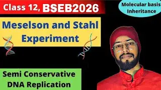 DNA Replication (Semi-Conservative Model) | Full Theory + Diagram | BSEB 2026