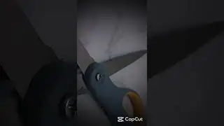 Scissors #funny #shorts #scissors #edit #4k