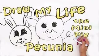 Draw My Life Petunia the Pig | Pets Add Life
