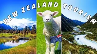 Discover the best 9 tourist destinations in New Zealand ⎪ New Zealand travel guide 2024