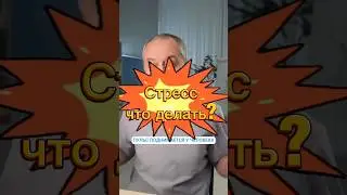 Стресс, что делать #сетевой #юмор #побизнесу #команда #новости #бизнесвсети #топ #мем #жизнь