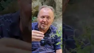 Vrbovica &ndash; Biljka za prostatu, mokraćne puteve i želudac | Travar Ibrahim Gromila