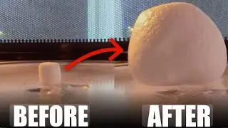 MARSHMALLOW VS MICROWAVE 