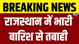 Rajasthan News: Assessment of crop damage due to rain begins, Collector seeks report | India News...