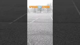 Spring Snow Storm Minnesota #shorts #snow #spring #minnesota