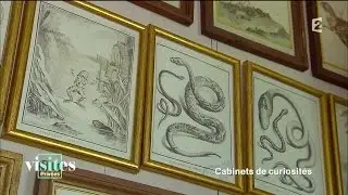 Buffon, le visionnaire des sciences de la nature - Visites priv&eacute;es