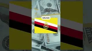 Who is the richest person from BRUNEI #brunei  #money #forbes #currency #forbeslist #rich #money
