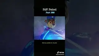 chase save Ryder part 12