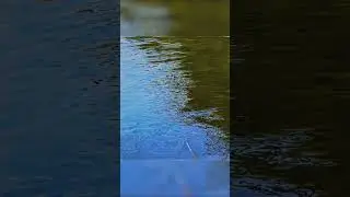 Painting Hyper-Realistic Water Ripples  #art #painting #satisfying