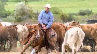 History and Development of the Saddle