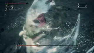 Bloodborne Orphan of Kos Final Boss