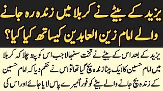 Yazeed Ke Bete Ny Khilafat Sanbhalte He IMAM ZAIN UL ABIDEEN Ko Kya Paigham Bhaija?/ NABVI TALKS