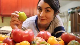 Let's Do Something with All These Tomatoes!!!!!