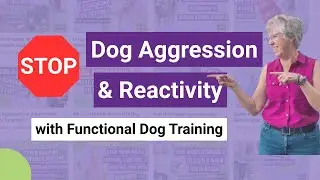 Stop Your Dog's Aggression Forever: Functional Training Secrets Revealed