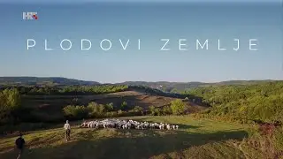 PLODOVI ZEMLJE, 21. studenoga 2021.