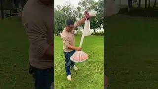 fish catching video in pond #fishing #net #handfish #fyp