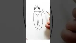 How to draw a fly step by step #shorts #howtodraw #drawing #pencilart #drawingvideo #pencildrawing