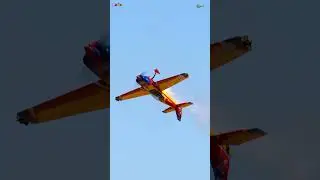 Extreme Flight Extra 300 EXP #12 #rc #rcpilot #aviation #rcaircraft