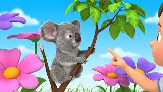 Baby Koala Climbed the Wrong Tree 🐨 | Fun Kids Songs & Nursery Rhymes