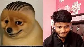 New Funny Video। Trending Funny Video&lrm;I New Instagram Funny Video। New&lrm;Comedy Video Viral Video