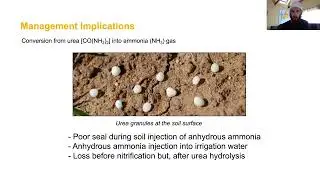 Module 2, Part 2 Nitrogen Cycling & Soil Transformations: Volatilization, Leaching & Denitrification