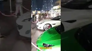 Dubai #shorts #binance #bsw #trading #lamborghini
