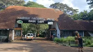 Top Tourist Destinations in Nairobi: Nairobi Animal Orphanage & Safari Walk Adventure#citytour