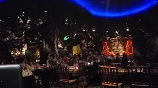 Indoor thunderstorm at Rainforest Cafe Mall of America!