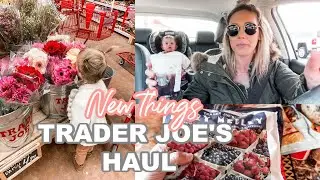 *TRYING NEW THINGS* TRADER JOE'S HAUL 2020| DAY IN THE LIFE OF A SINGLE MOM| Tres Chic Mama