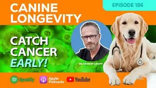Canine Longevity 106