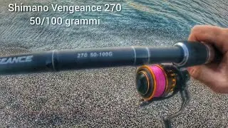 Canna Shimano Vengeance CX 50-100 gr. azione Fast Spinning rod, Reels Daiwa & Lurekiller